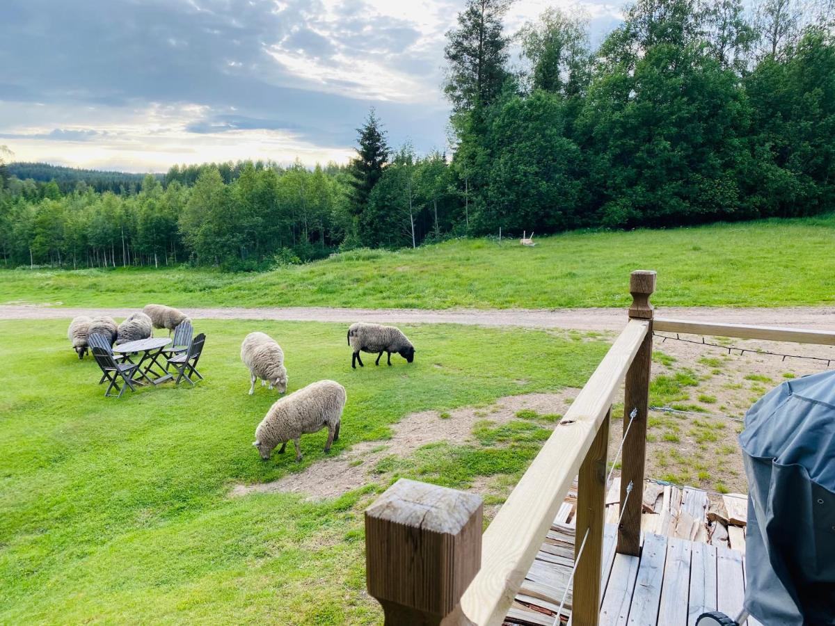 Adventure Guesthouse Sweden In Rural Area Sunne Exterior foto