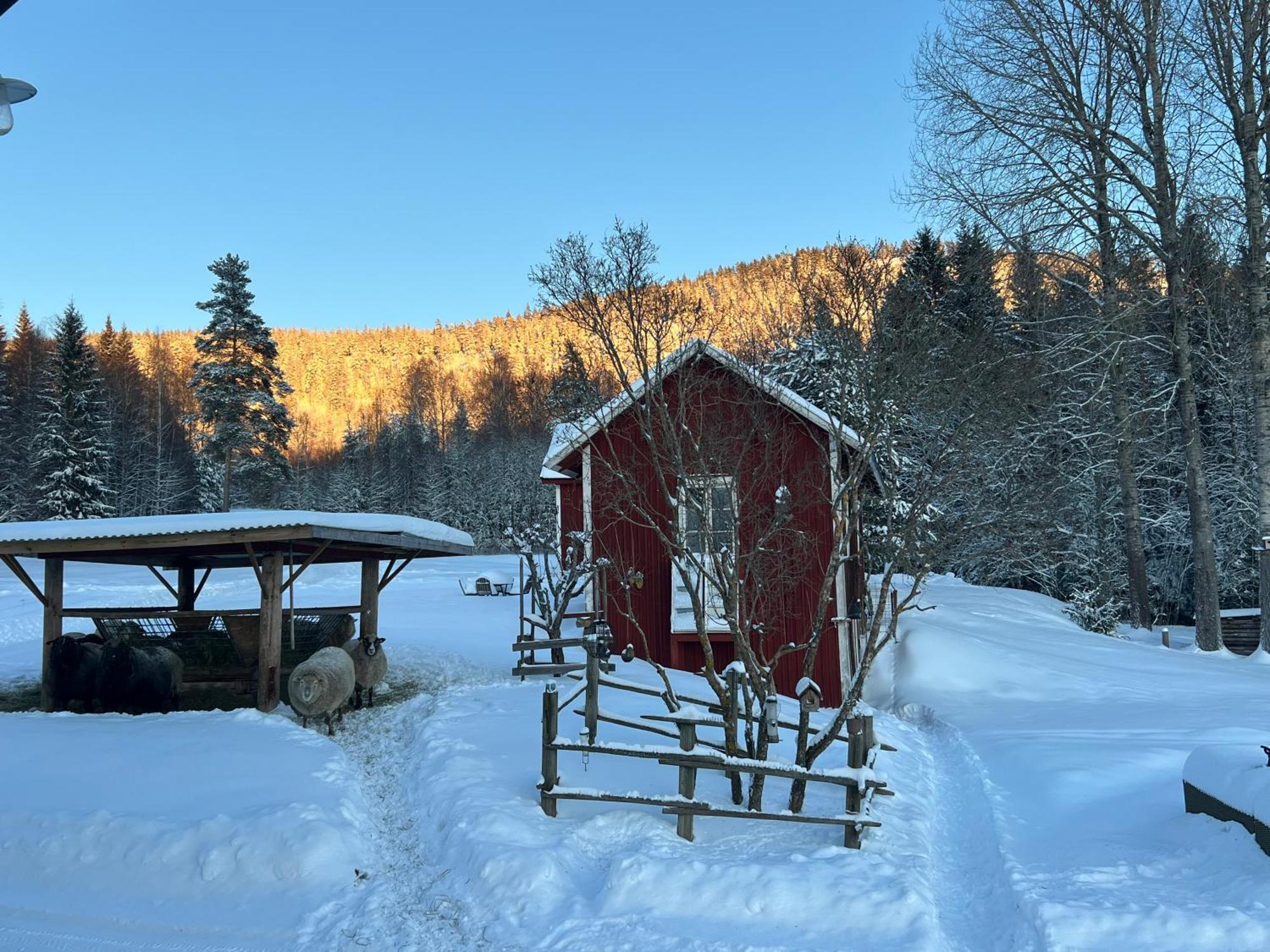 Adventure Guesthouse Sweden In Rural Area Sunne Exterior foto